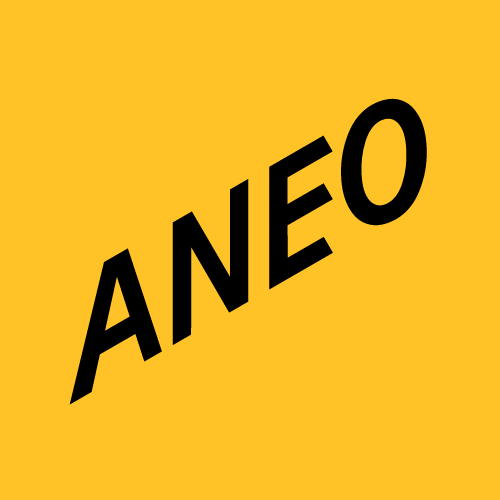 Aneo Industry AS
